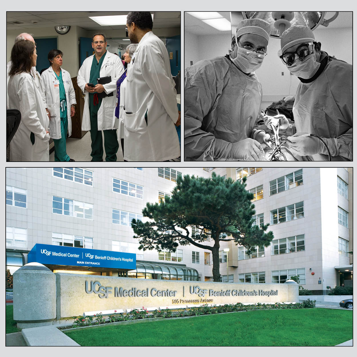 UCSF Medical Center 100 Hospital and Health Systems with Great